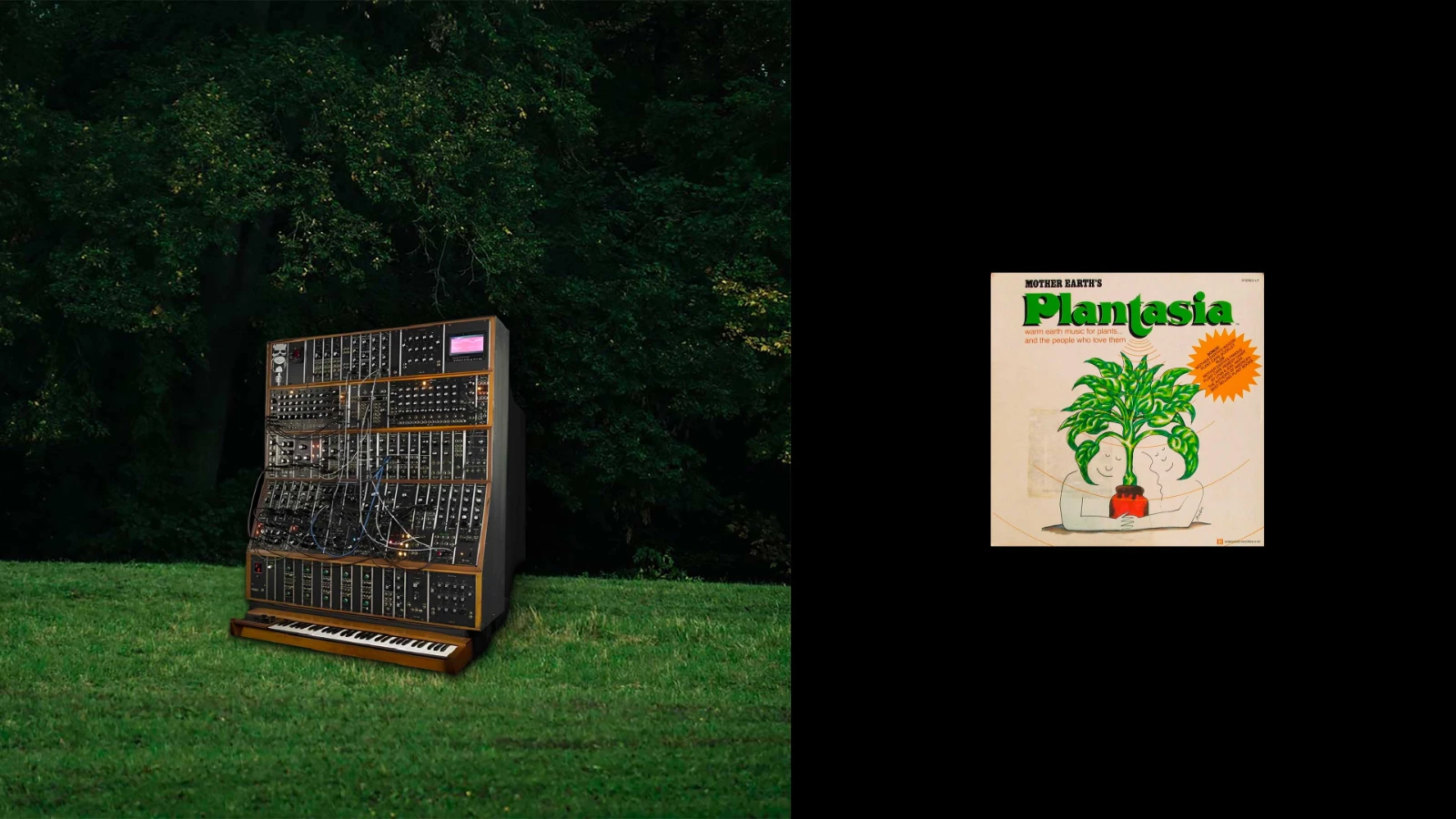 Split screen. Left: vintage synthesizer, right: Plantasia album